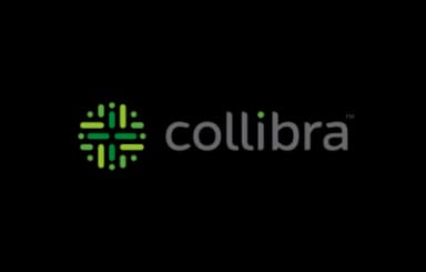 Collibra Collibra - Data intelligence platform for data governance